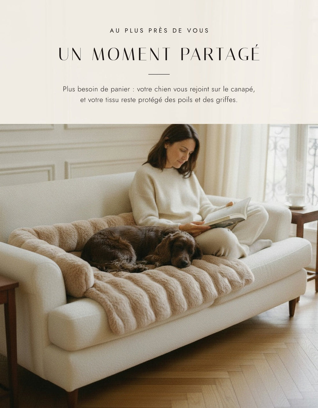 Un moment partagé sur le canapé avec son chien