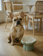 Bouledogue français avec la gamelle Fleur dans une salle à manger