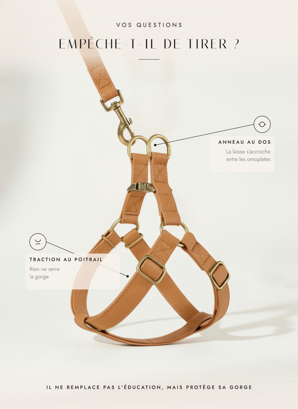 Empêche-t-il de tirer ? La laisse s'accroche au dos, la traction passe par le poitrail