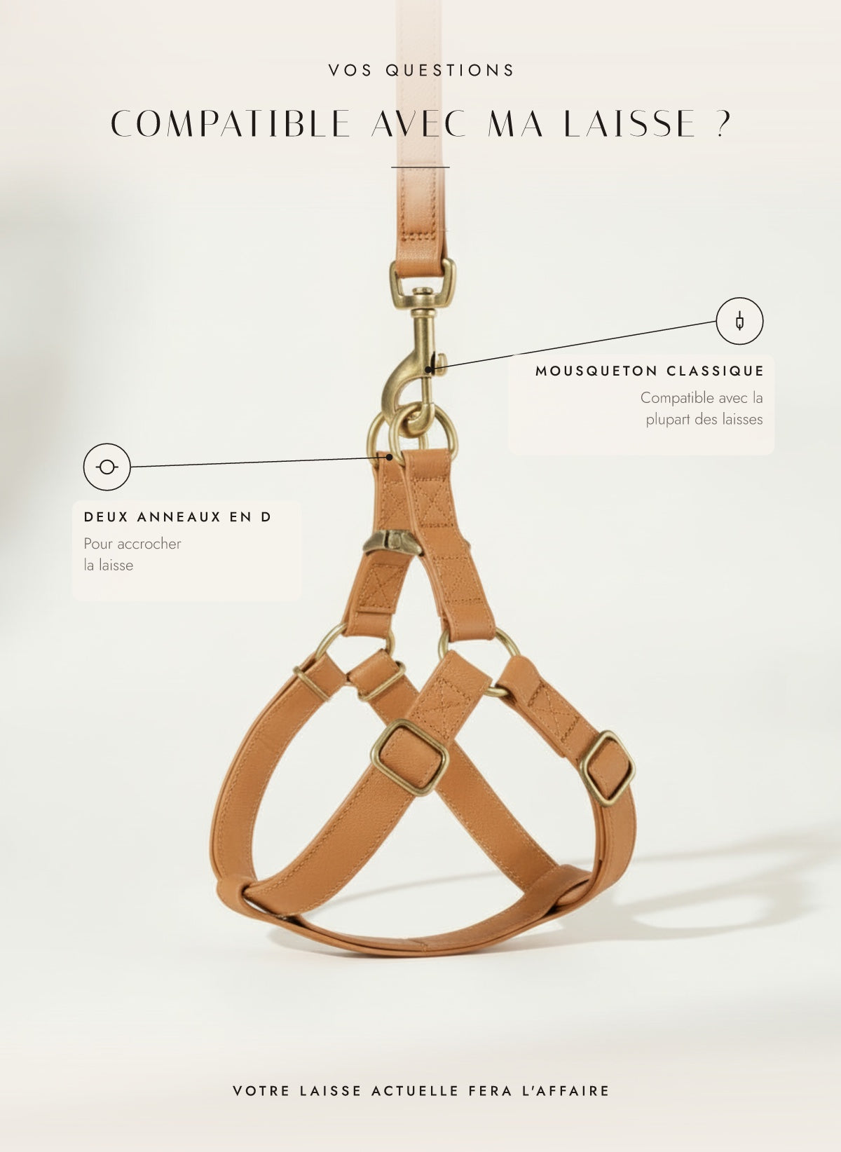 Compatible avec ma laisse ? Deux anneaux en D pour la plupart des mousquetons